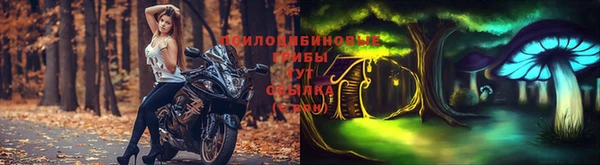 MESCALINE Алзамай