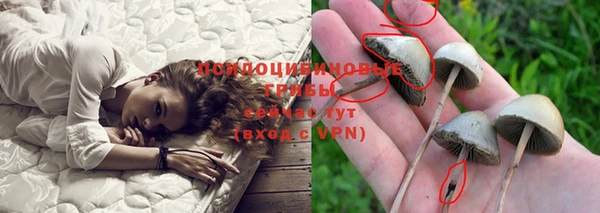 дурь Аркадак