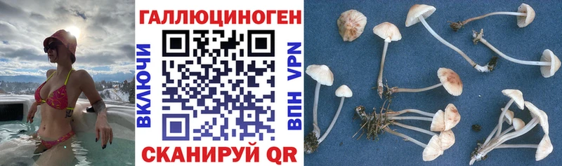 Псилоцибиновые грибы MAGIC MUSHROOMS  Баймак 