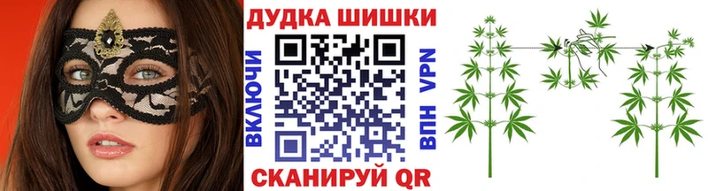 MEGA   купить наркотики цена  Баймак  Каннабис конопля 